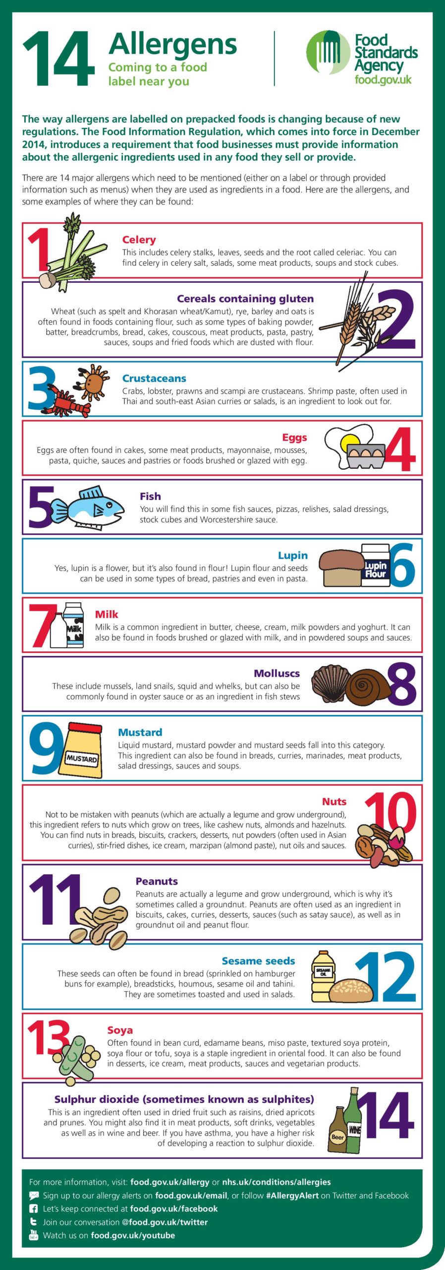 14 Food Allergens Info Poster