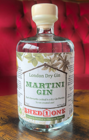Martini_Sized_Website Product_70cl