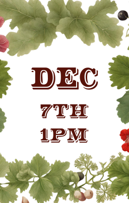 December 7th, 1pm