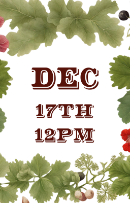 December 17, 12pm
