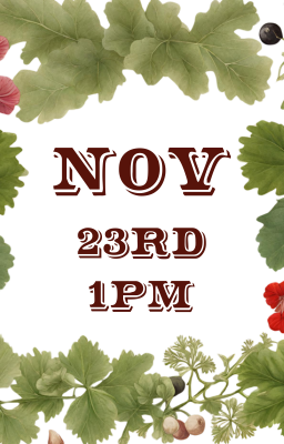 November 23rd