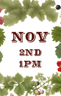 November 2nd