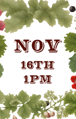 November 16th