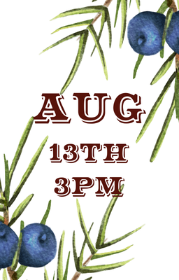 Aug 13 3pm