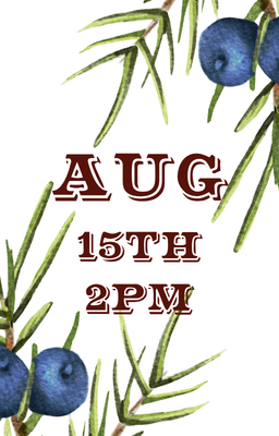 Aug 15 2pm