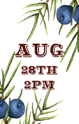 Aug 28 2pm