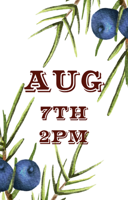 Aug 7 2pm