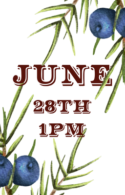 June 28 1pm