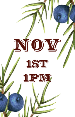 Nov 1 1pm