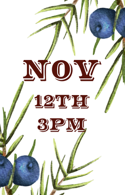 Nov 12 3pm