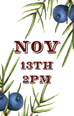 Nov 13th 2pm