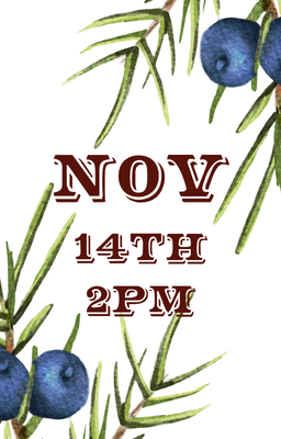 Nov 14th 2pm