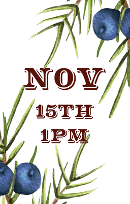 Nov 15 1pm