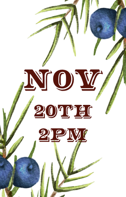 Nov 20 2pm
