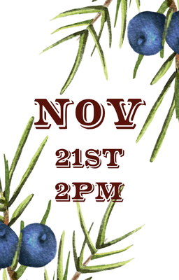 Nov 21 2pm