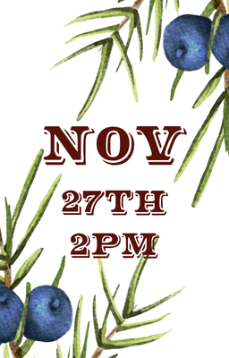 Nov 27th 2pm