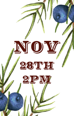 Nov 28th 2pm