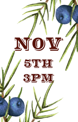 Nov 5 3pm