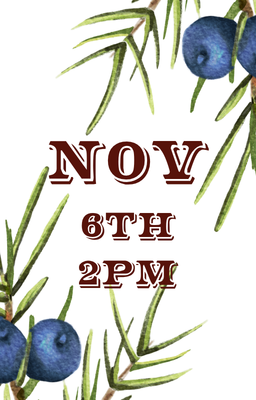 Nov 6th 2pm