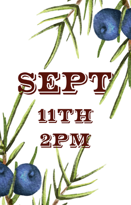 Sept 11 2pm
