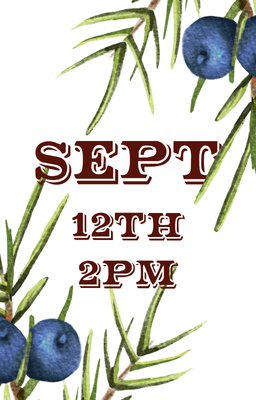 Sept 12 2pm