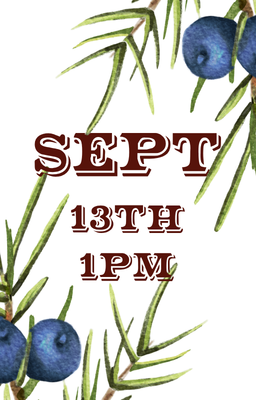 Sept 13 1pm