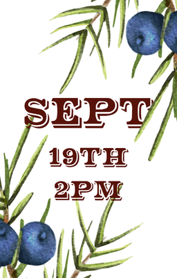 Sept 19 2pm
