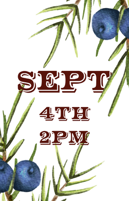 Sept 4 2pm