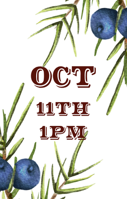 Oct 11th 1pm
